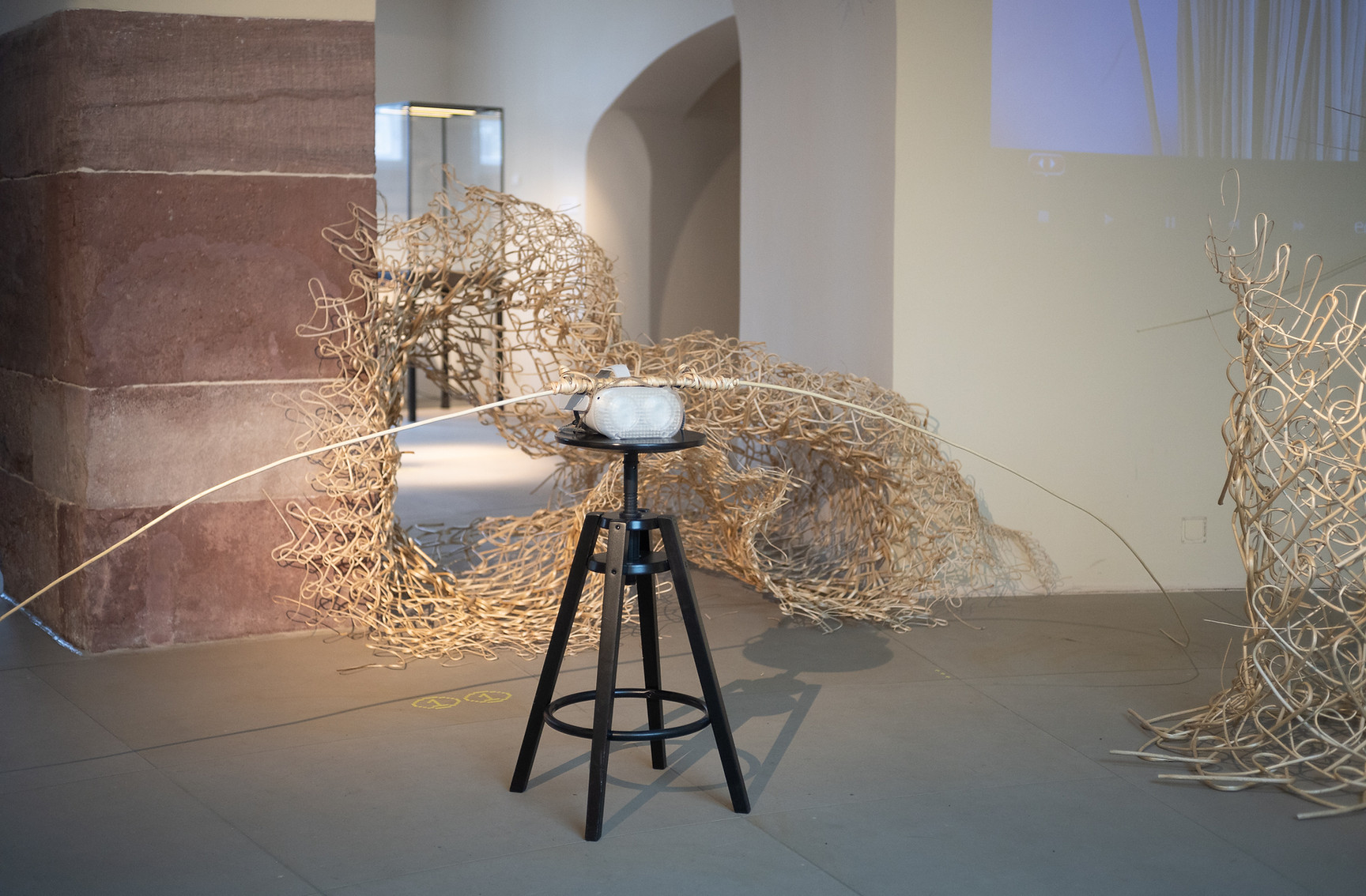 Installation view — Tieranatomisches Theatre
