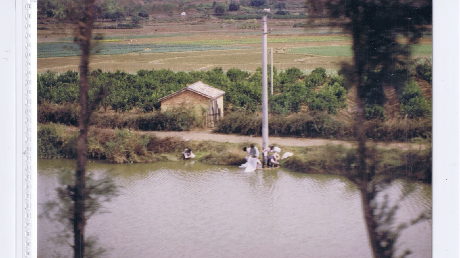 Hoisan Dream still